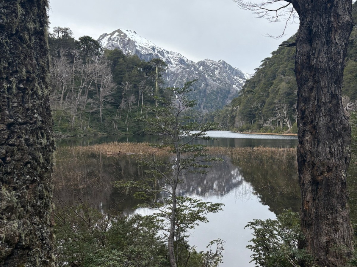Chile #5: Photos of Parque Nacional&nbsp;Huerquehue